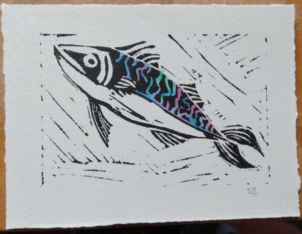 Mackerel