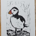 Puffin