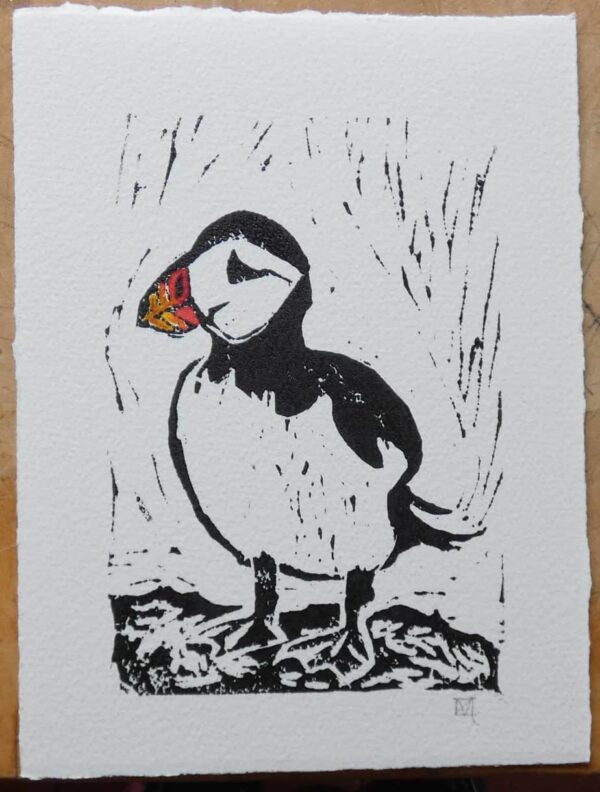Puffin
