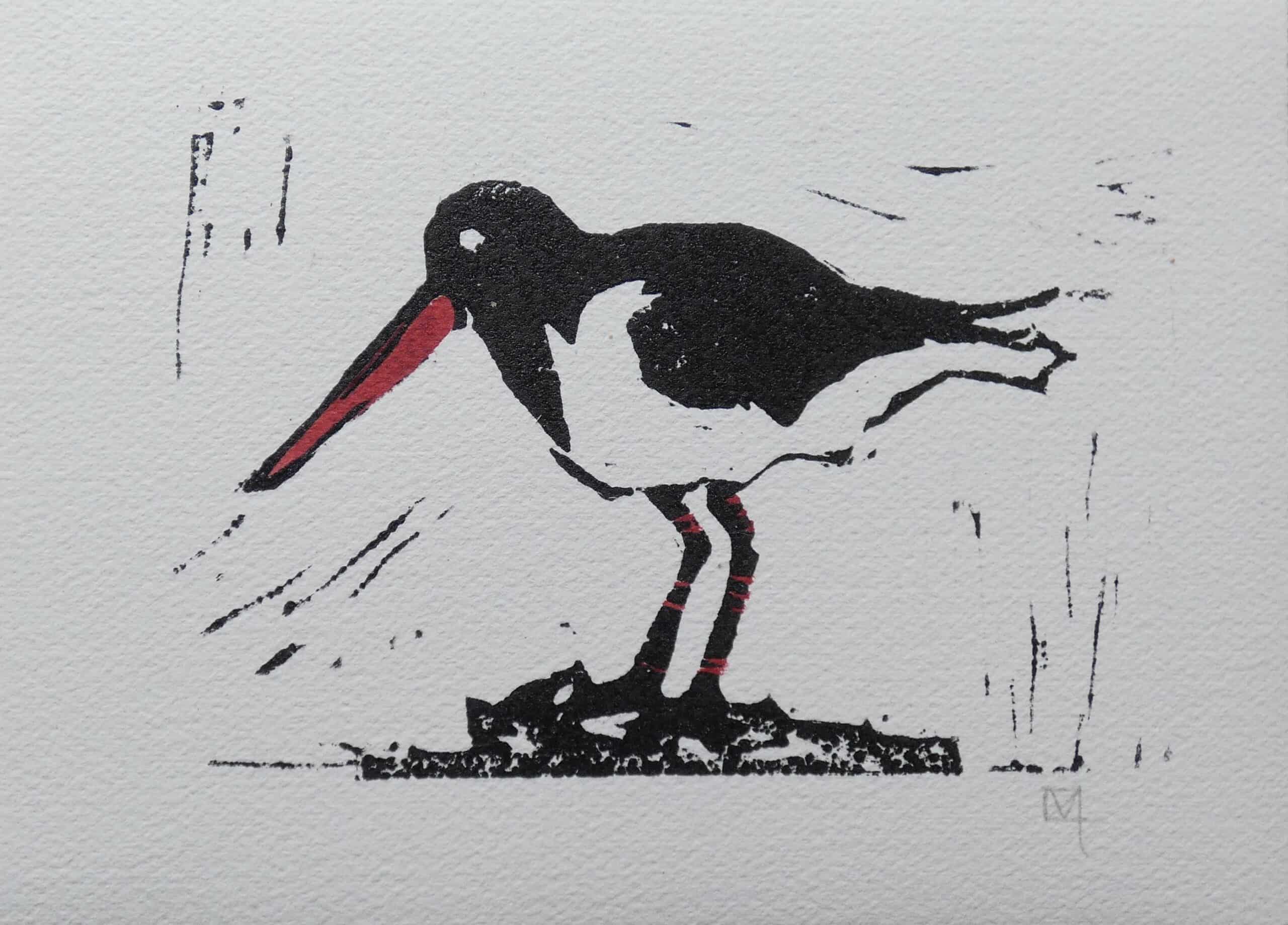 Oystercatcher