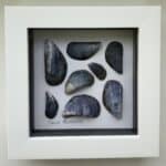 Tiree Mussels