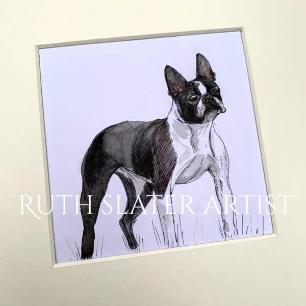 Boston Terrier Dog Original