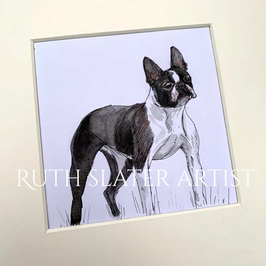 Boston Terrier Dog Original - Image 1
