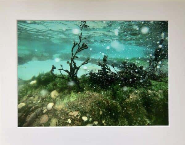 Underwater photo prints.