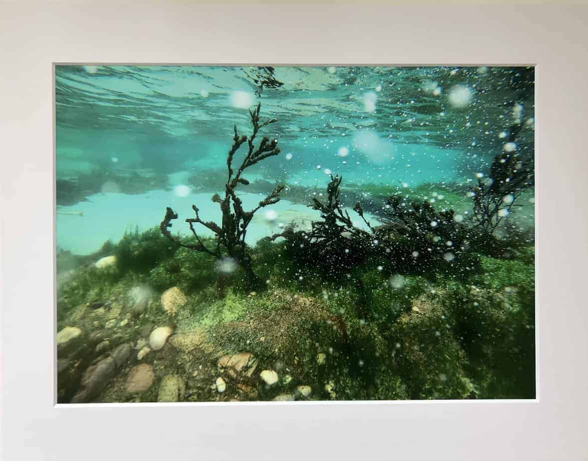 Underwater photo prints. - Image 1