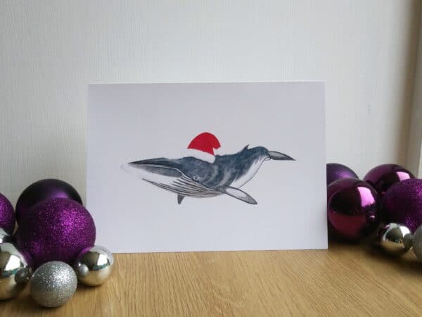 Christmas Card Set - 8 pack