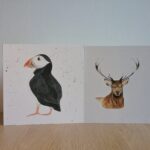 Greeting Card Pack – 4 cards