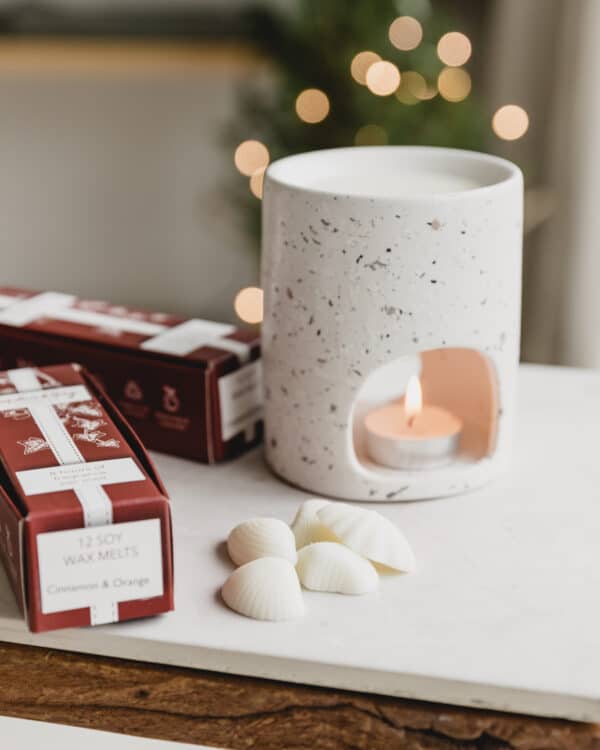 Festive Wax Melts