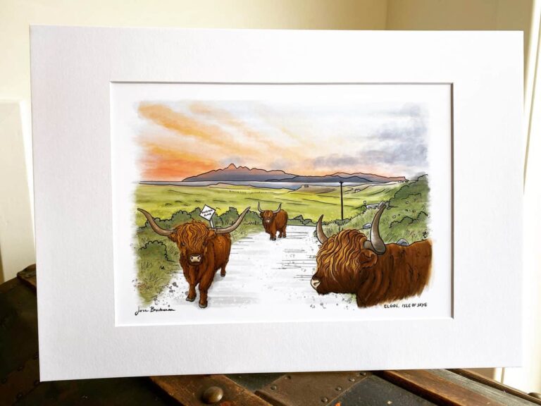 Cows