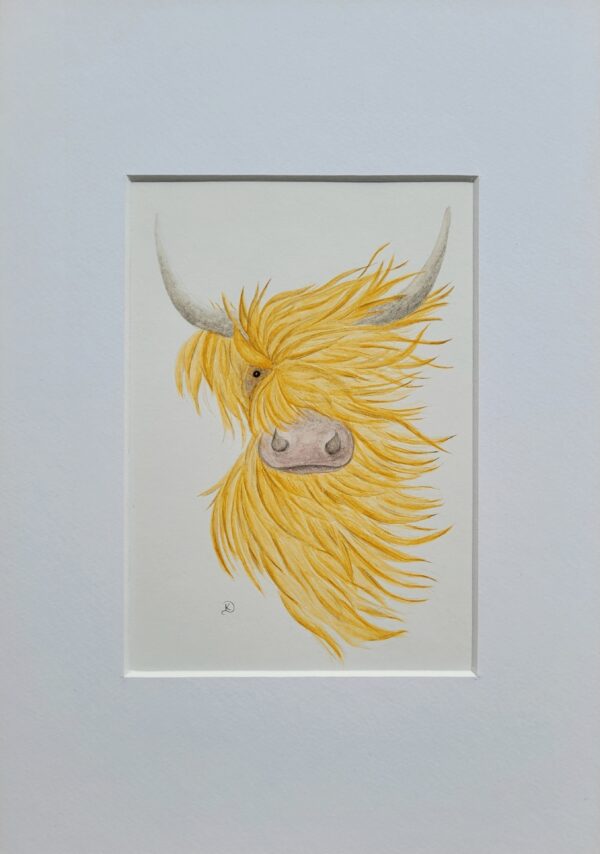 Highland Coo - Original Watercolour Painting Framed A4