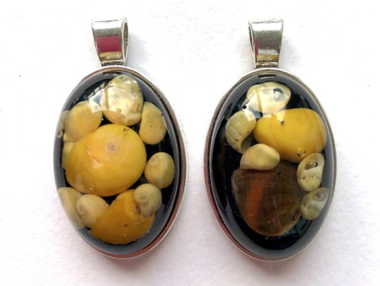 Sunset shells pendants.