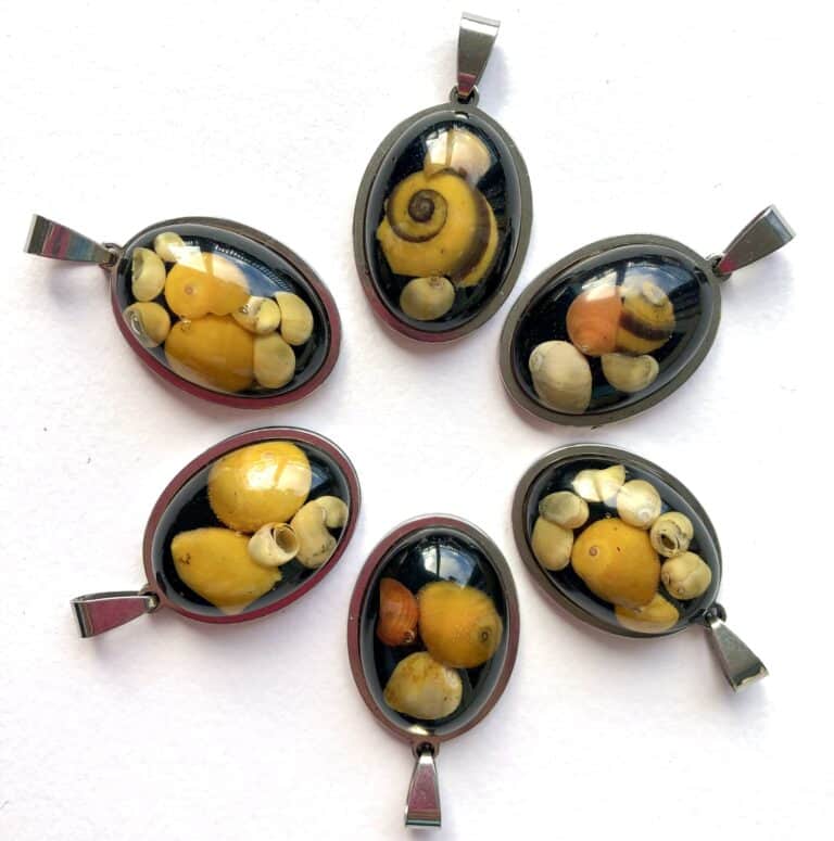 Sunset shells pendants.
