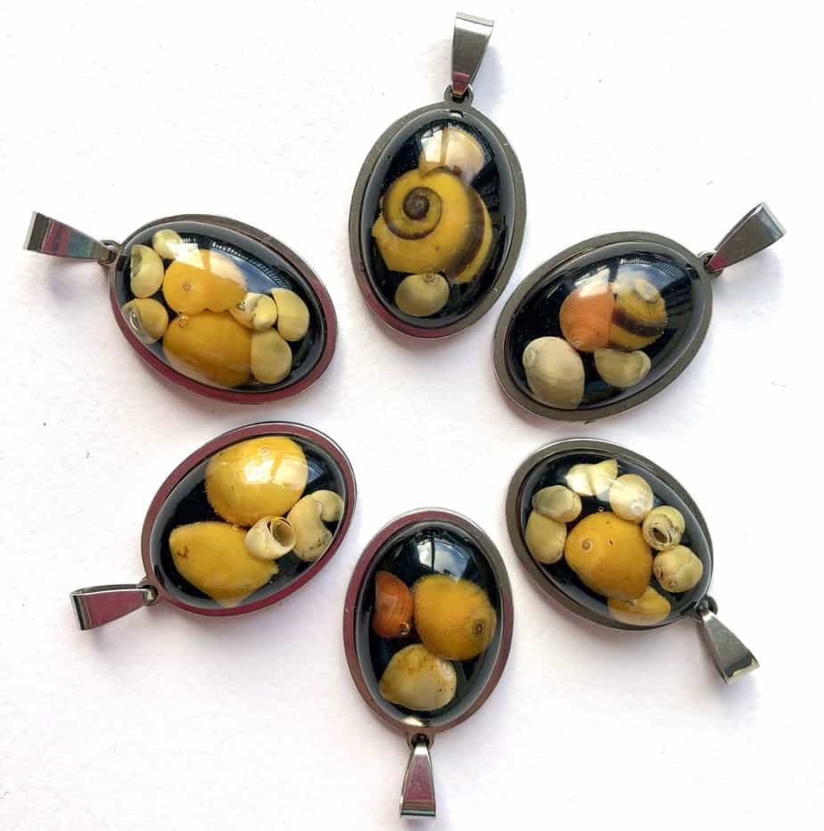 Sunset shells pendants. - Image 5
