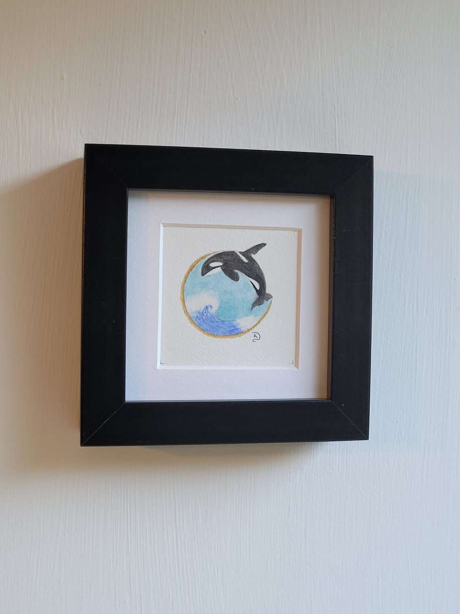 Original Watercolour Painting - Killer Whale mini framed - Image 3