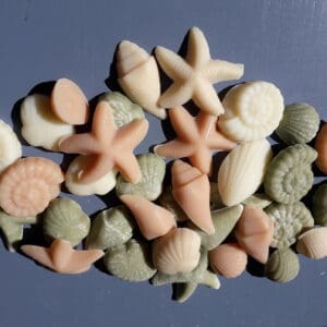Shell Soap Pack - Image 1