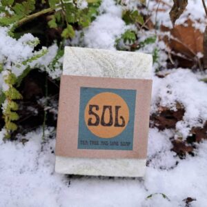 Tea Tree and Lime Soap - Image 1