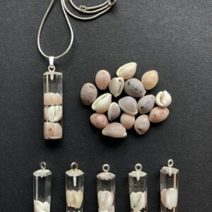 Groatie Buckie pendants, Lucky Cowrie Shells from Shetland. - Image 4