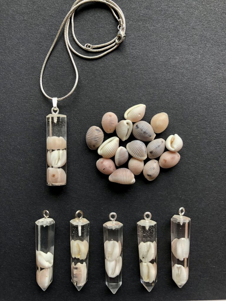 Groatie Buckie pendants, Lucky Cowrie Shells from Shetland.