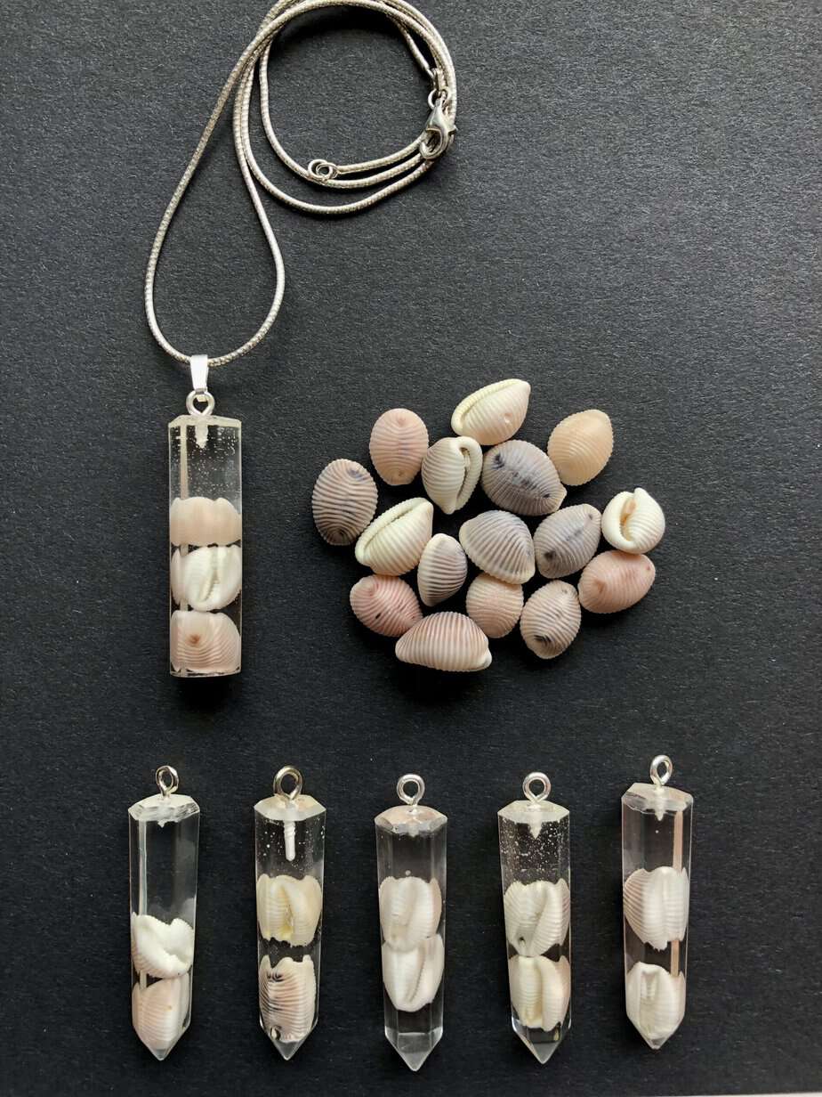 Groatie Buckie pendants, Lucky Cowrie Shells from Shetland. - Image 4