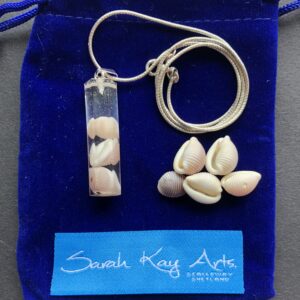 Groatie Buckie pendants, Lucky Cowrie Shells from Shetland. - Image 3