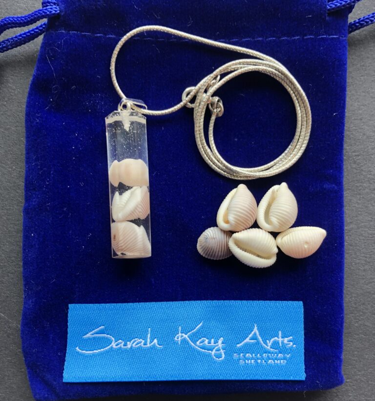 Groatie Buckie pendants, Lucky Cowrie Shells from Shetland.
