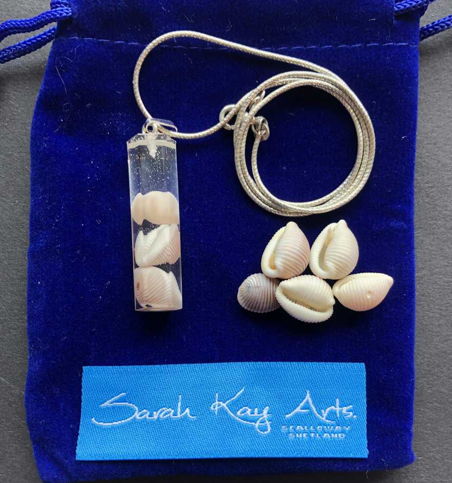 Groatie Buckie pendants, Lucky Cowrie Shells from Shetland. - Image 3