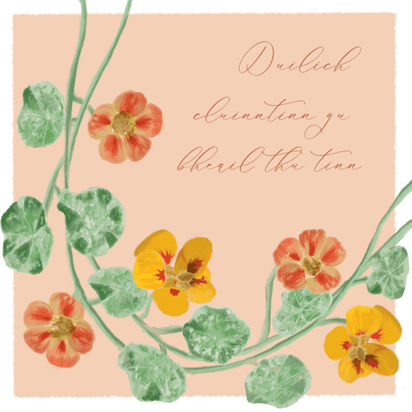 Gaelic get well card