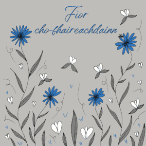 Gaelic Sympathy Card - Fìor cho-fhaireachdainn - Blue Cornflowers - Image 2