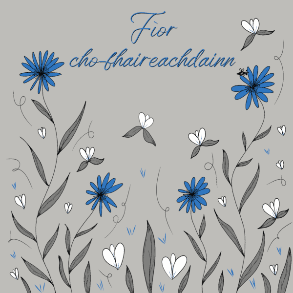 Gaelic Sympathy Card - Fìor cho-fhaireachdainn - Blue Cornflowers