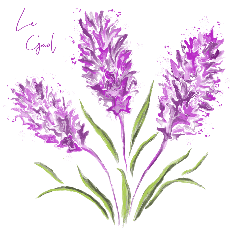 GA606 Le Gaol orchids front