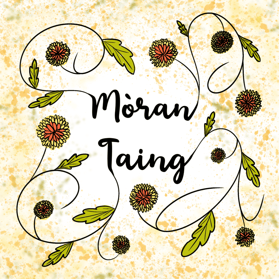 Gaelic thank you card - Moran Taing