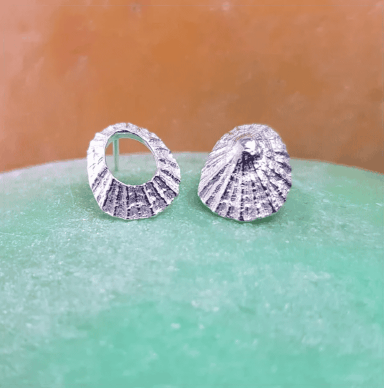 Silver Limpet Shell Earrings