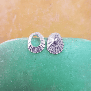 Silver Limpet Shell Earrings - Image 1