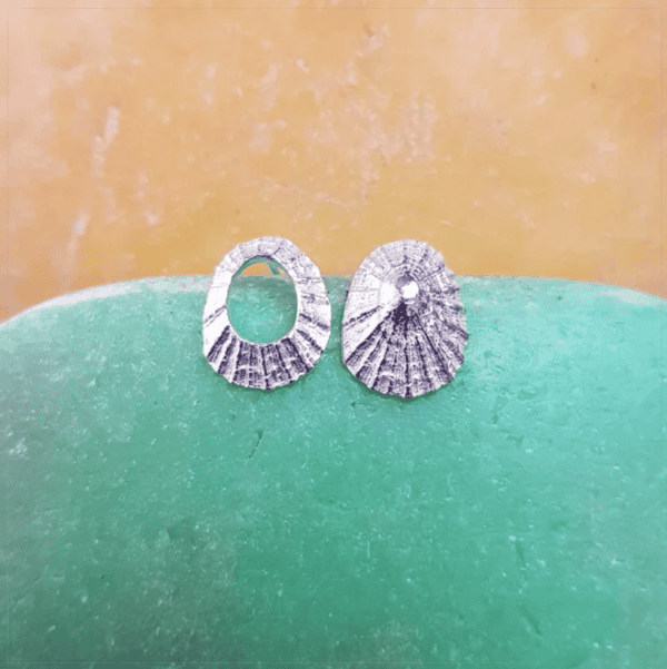 Silver Limpet Shell Earrings