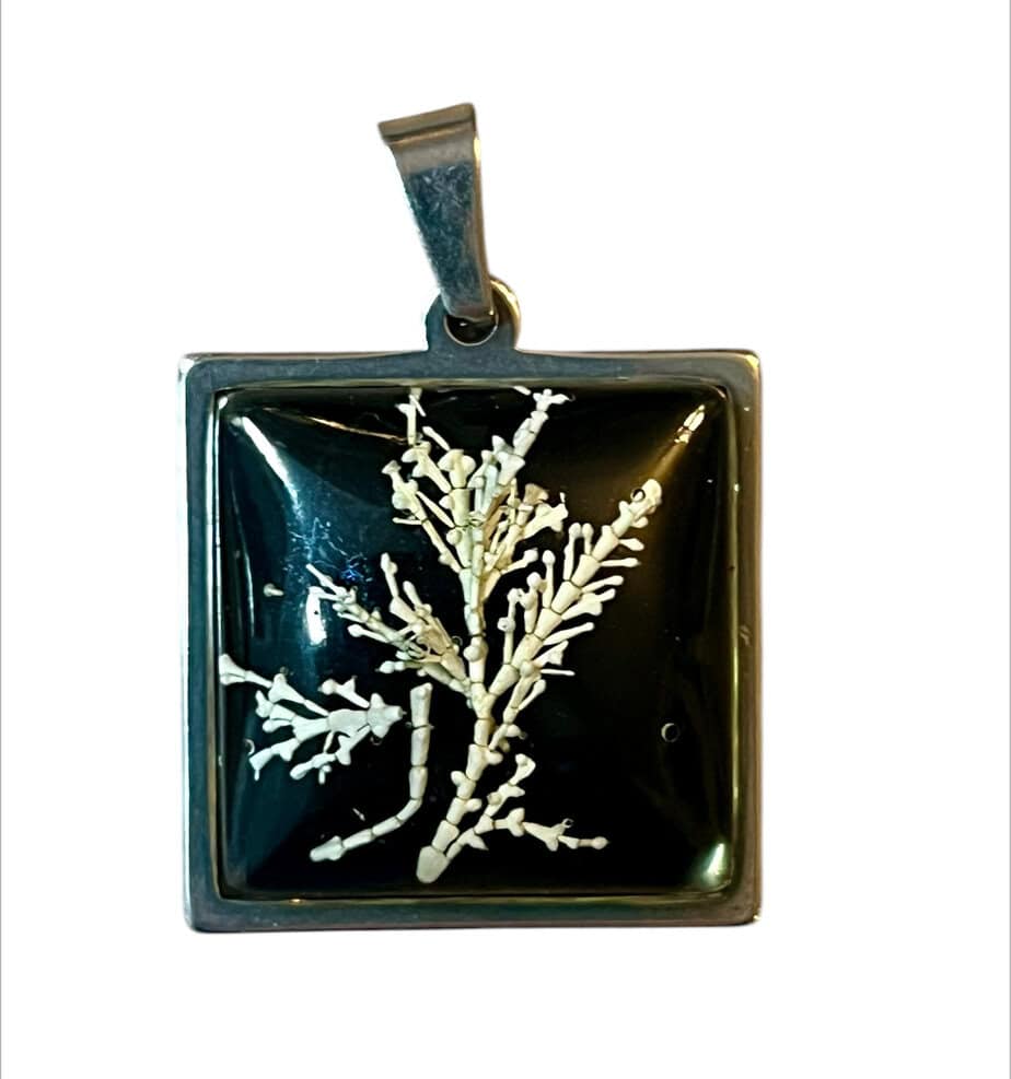Seaweed pendants with shimmering black night sky background. - Image 8