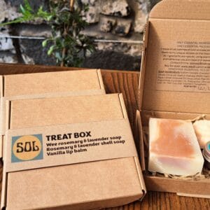 Treat Box - Image 1