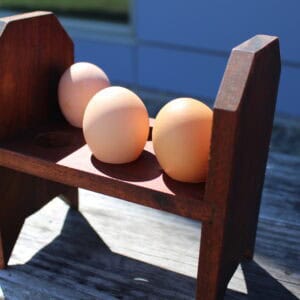 Handcrafted Reclaimed Hardwood Egg Holder - Image 1