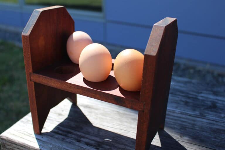 Handcrafted Reclaimed Hardwood Egg Holder