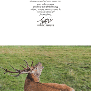 Lochranza Views | Greetings Cards - Image 6