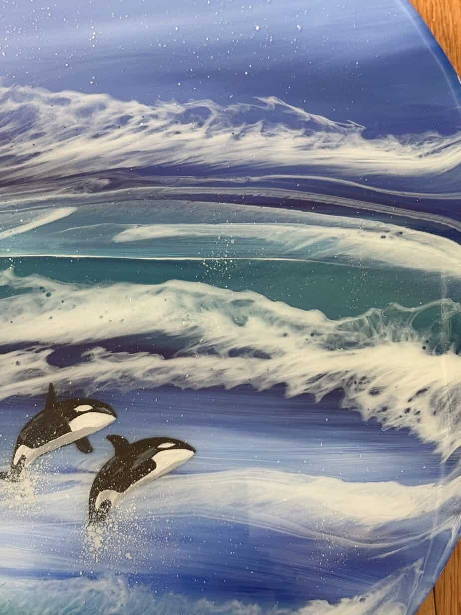 Orcas at sea - Image 4